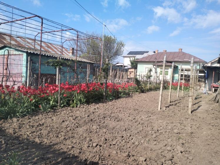 Casa  la curte Oltenita - 4