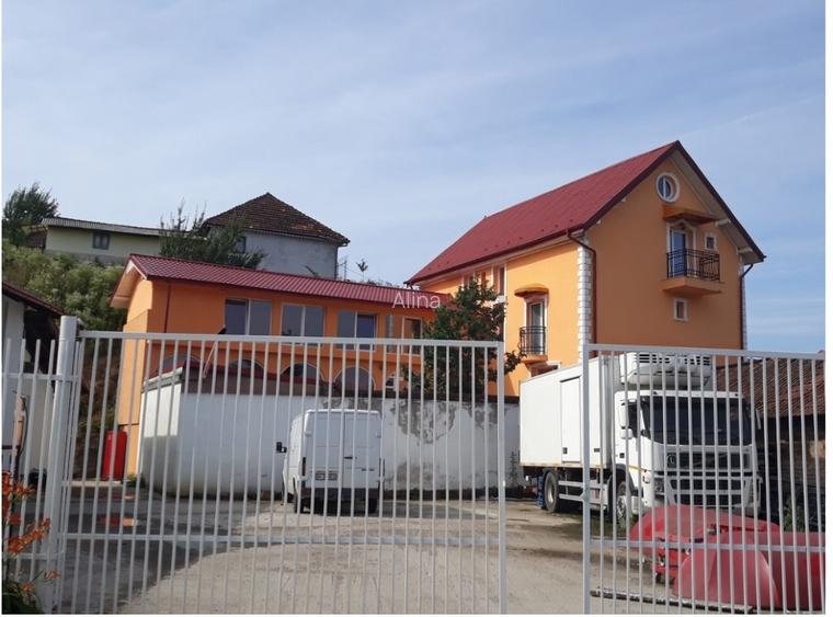 Vilă deosebita aflată intr-o zonă minunată a munțilorApuseni, mobilată,pretabilă - 2