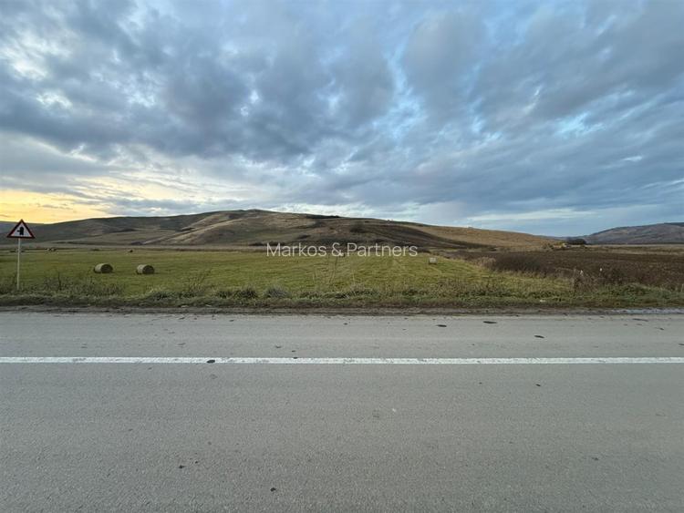 Teren Extravilan I 6000 Mp I Acces la drum | Cojocna - 5