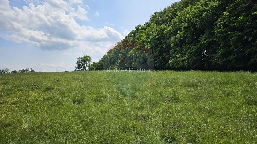 Teren Ilisesti  7000mp extravilan/ DN 17, Suceava - 20