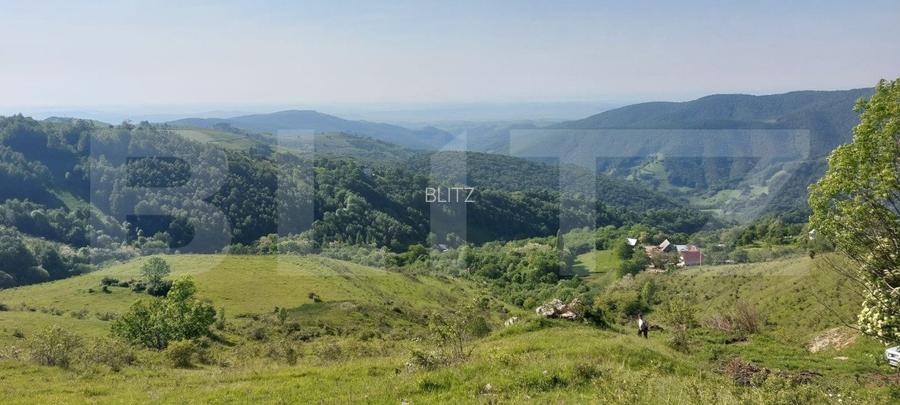 Teren extravilan pentru cabana, 3800 mp, zona-Ramet Transapuseana - 2