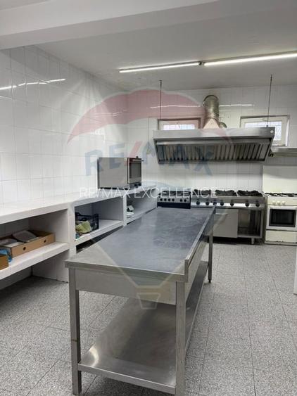 Casă / Vilă cu 8 camere de vânzare în zona Central - 5