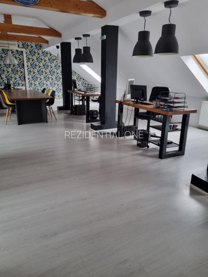 Spatii de Birou la Cheie - 2