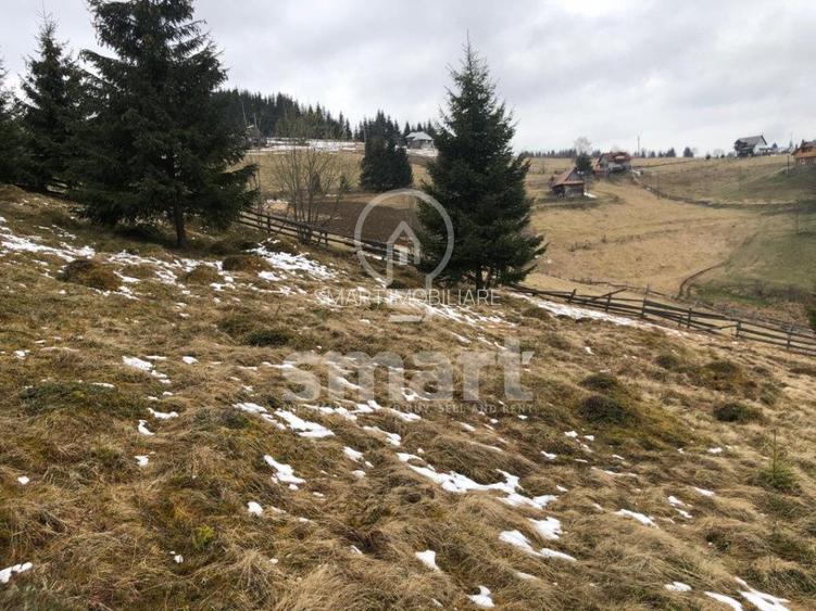 Teren Marisel, zona deosebita - 2