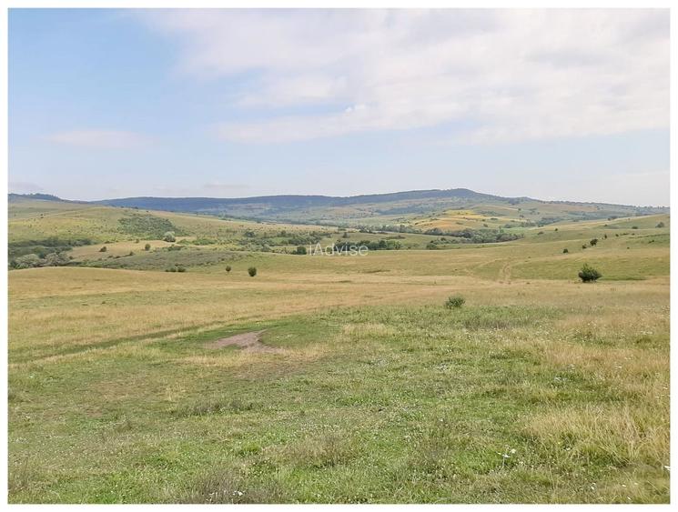 Teren Sercaia  250 ha - 8