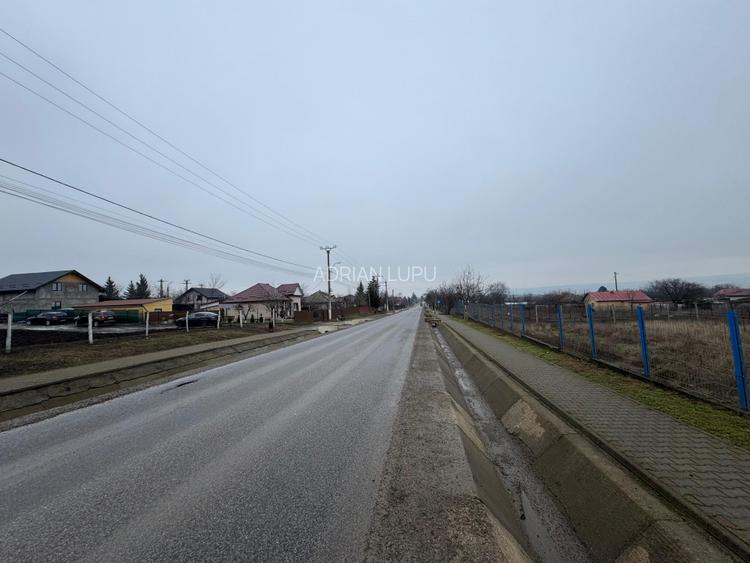 Vanzare Teren Intravilan 1800 mp Tiganasi Acces DJ Iasi-Botosani - 3