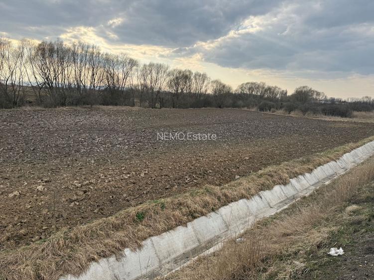 Teren extravilan | Rădăuți | 36 ARI - 12