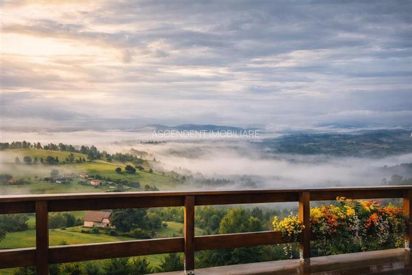 Resedinta/ pensiune,  cu 1.000 mp teren, Pestera, Brasov - 12