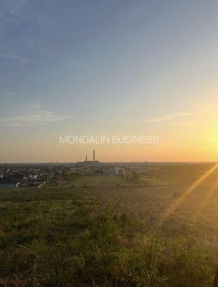 Vânzare- Teren Extravilan- 7496 MP , Calea Bihorului, Oradea. - 4