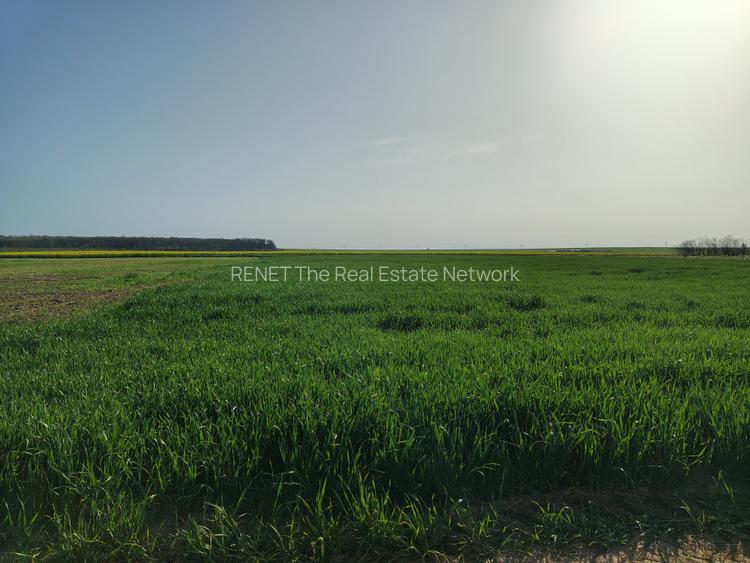 Teren investitie Cernica, Posta - 3