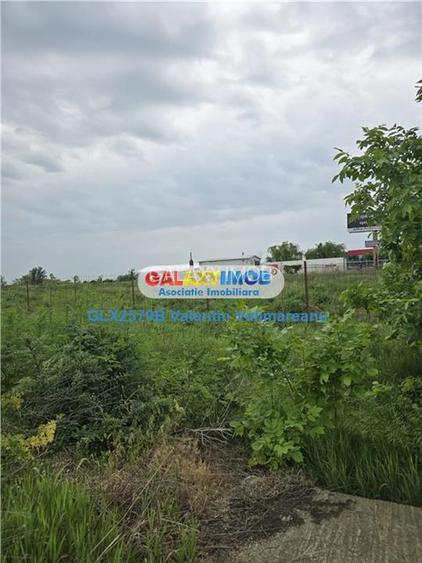 Teren 1 Decembrie VI 011 - 5