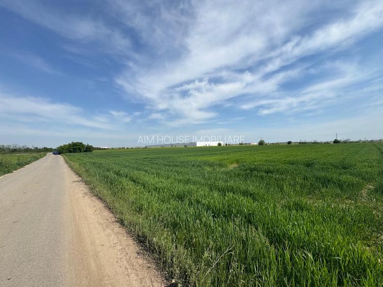 OPORTUNITATE| Teren intravilan 5.000 mp | Ghionea – Ulmi – Giurgiu |dubla D - 5