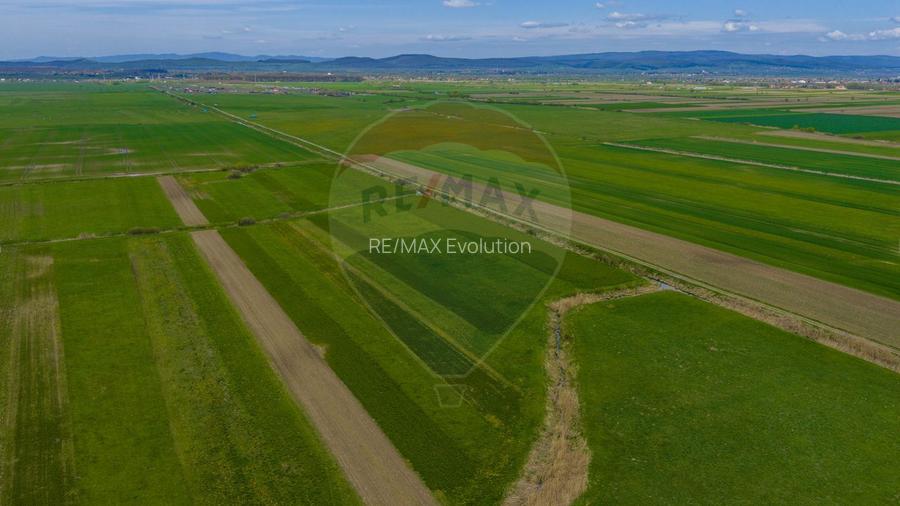 Teren EXTRAVILAN | 4,000mp Stupinii Prejmerului | COMISION 0% - 16