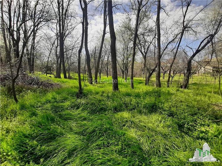 Casa la curte cu livada/teren 1274 mp in Bragadiru - 28