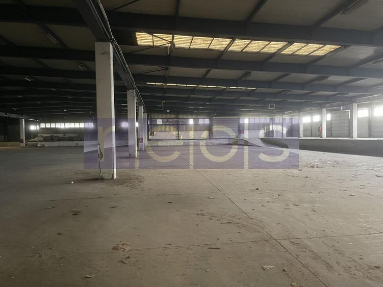 INCHIRIERE HALA | DEPOZIT - OTOPENI CENTURA  |  20.0000 MP - 13