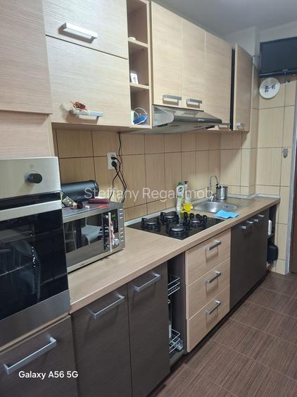 Apartament 2 camere de vanzare Gorjului-Rasaritului - 9