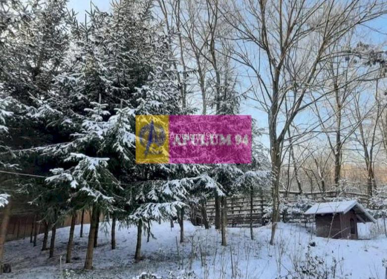 Casă de vânzare în Provița de Jos - 37