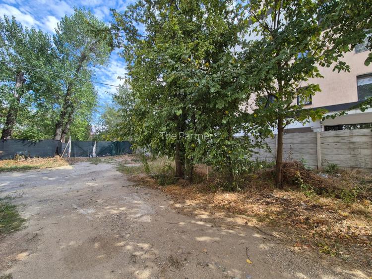 TEREN DE INCHIRIAT - SISESTI - 9