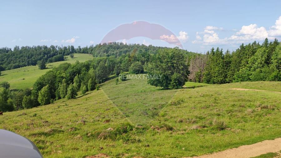 Teren 130000 mp extravilan, faneata si padure, Munteni - Bulz, Negreni - 15