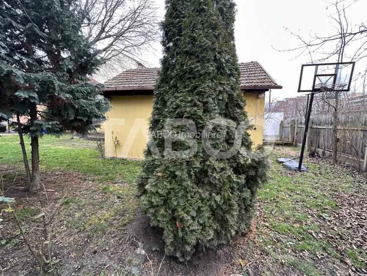 Casa 2 corpuri P+M si P+1 spatiu comercial 70 mpu la strada 2 garaje - 17