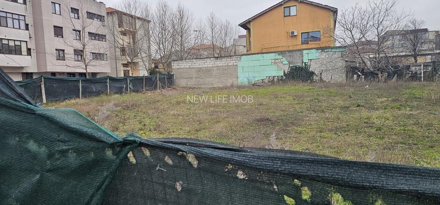 Primo/Compozitorilor/ 1 Lot de 500 mp - 2