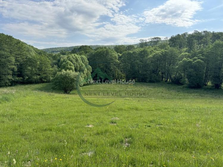 Teren extravilan - oportunitate investitie - 3