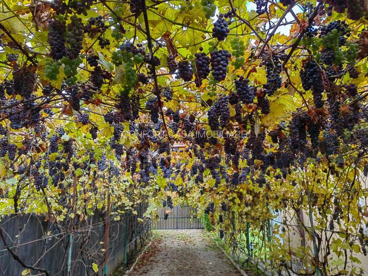 Brebu-Prahova, casa+teren 1600 mp, COMISION 0% - 4