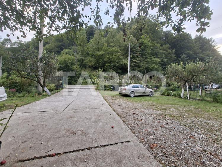 Spatiu de vanzare in Valea Macesului judel Valcea iesire la Lotru - 38