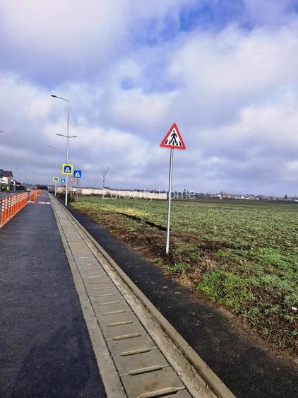 Buftea- Cartier Tineretului-  Magnoliei - 2