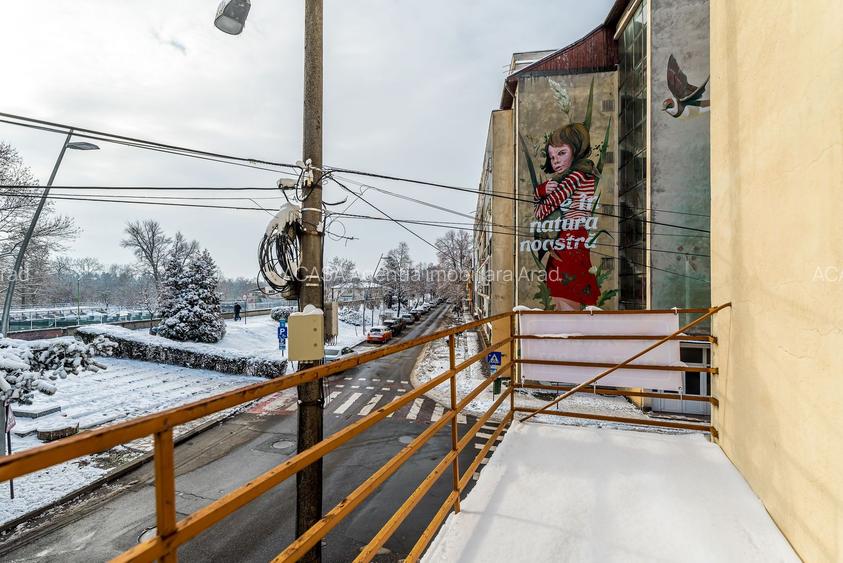 Vila individuala de exceptie Praporgescu Malul Mureșului - 10