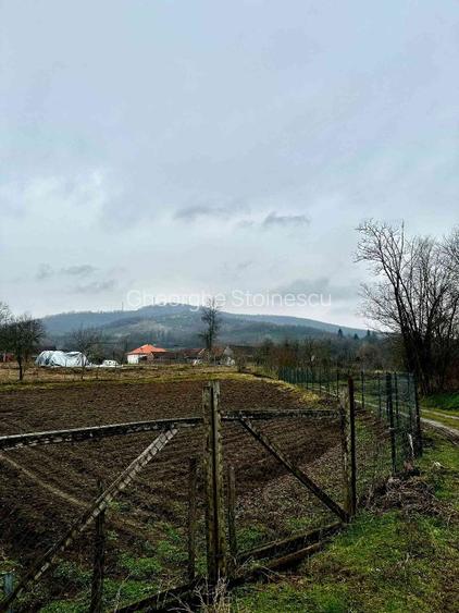 Casă de cărămidă cu gradina in satul Lalașinț comuna Bârzava  - 6