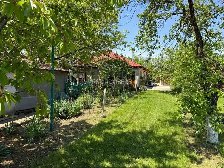 Casa cu 4000 mp teren, Letca Noua, Giurgiu — 1h de București - 2