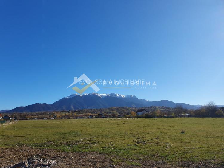 Teren intravilan 10.600 mp Strada Branului - 2