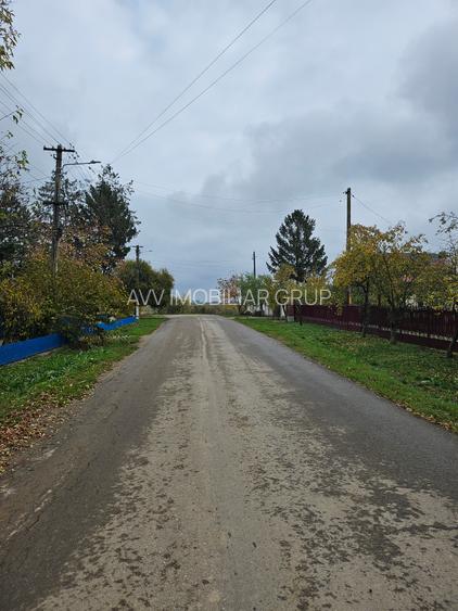 Butimanu (Decindea) Jud. Dambovita, teren intravilan si extravilan - 6