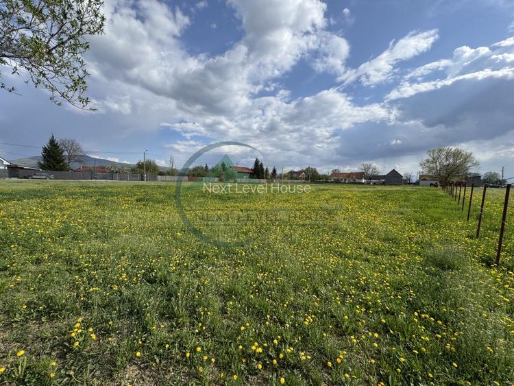 Teren Sat Bacel 6200 mp - 6