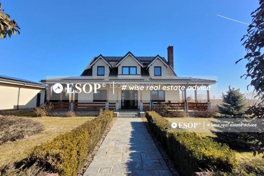 Teren de vanzare, Dascalu, ID 15402 - 2