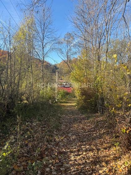 Teren langa pădure 6400mp+casa demolabila-deschidere 35 ml - 17