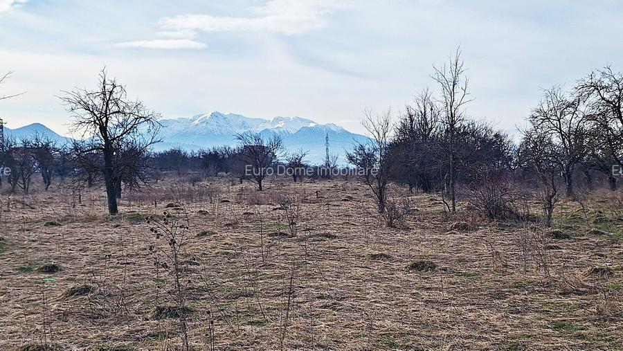 Teren intravilan pentru Investitie!!!,933mp in Ghimbav, 50 euro/mp neg. - 7