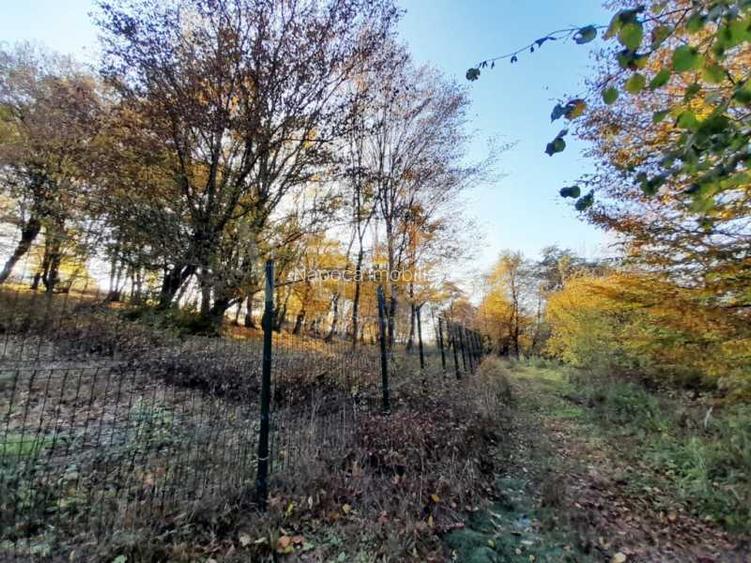 Teren intravilan pentru constructii de vanzare in Europa, Cluj Napoca - 2