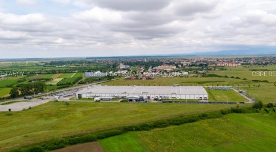 Închiriere Platformă Industrială Majoră în Ineu - 5