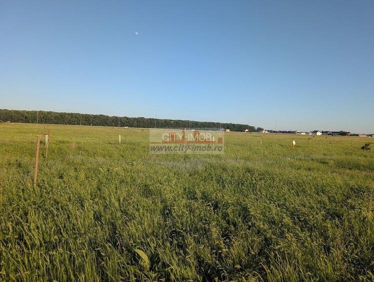 Vanzare Teren Constructii 1000 mp in Pipera Voluntari, - 2