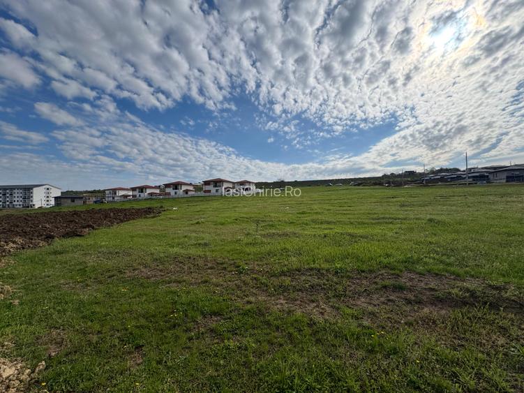Teren Intravilan Visan - 4