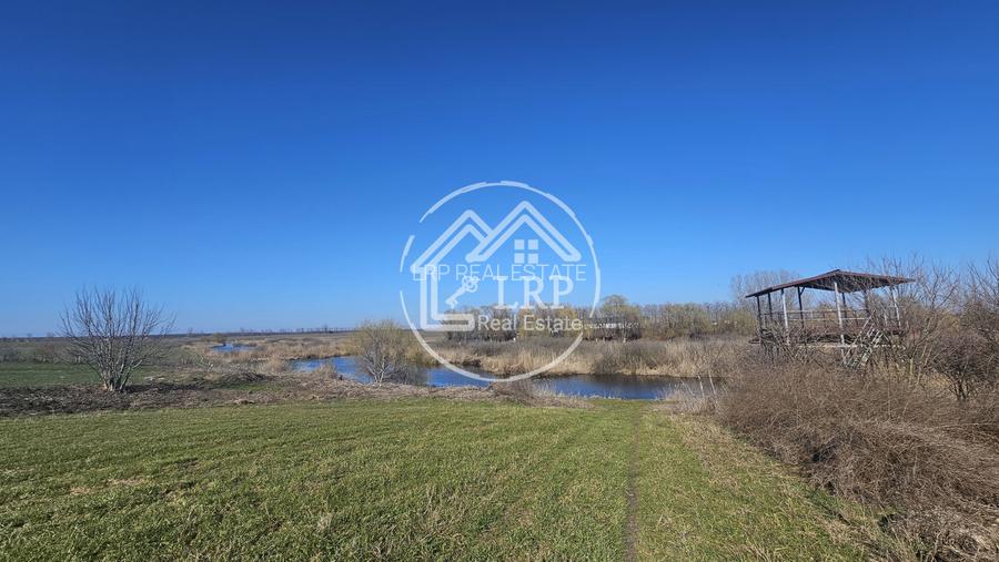 Loturi de Casa pe malul Lacului Creața, Dascălu – 460 mp + Drum servitute - 3