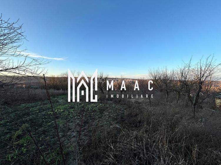 Casa 4 camere | 40 MPU | Curte 1.151MP | Teren 2.359 MP | Alba Iulia | Ohaba - 16