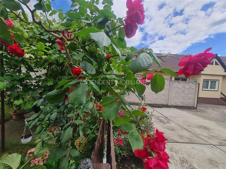 Poveste saseasca la umbra vitei de vie,cu crama,gradina flori,Central,Codlea - 17