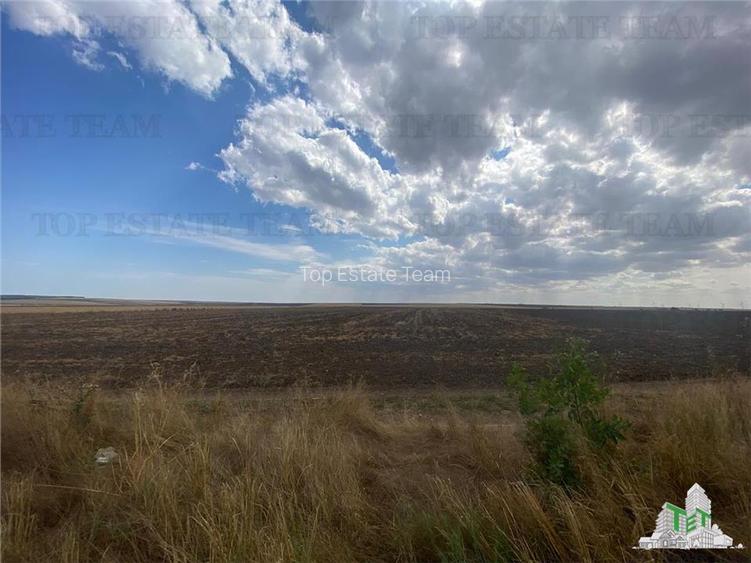 Teren extravilan in Mihail Kogalniceanu, Constanta - 7