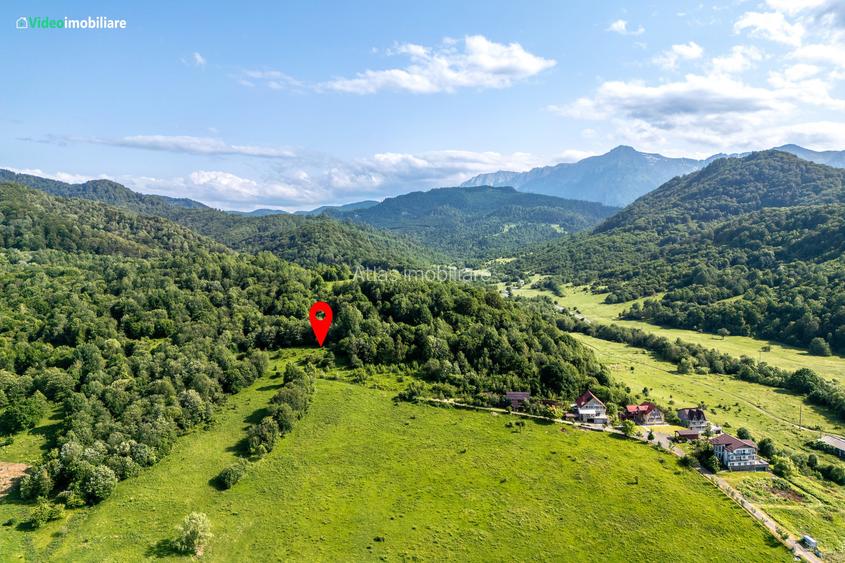 Teren cu vedere superba spre Cheile Rasnoavei, 8800 mp, la marginea pădurii - 2
