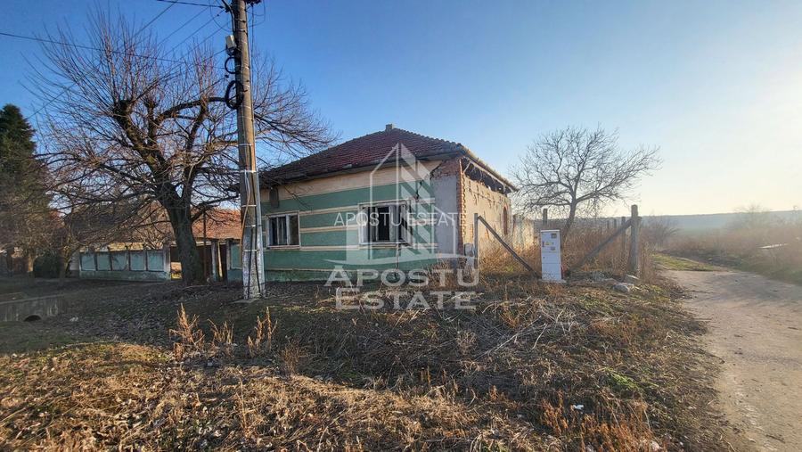 Teren de 3844 mp cu proiect autorizat pt casa individuala,in Pischia, - 5
