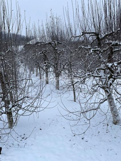 Casă în comuna BOȚEȘTI, județul ARGEȘ  - 5