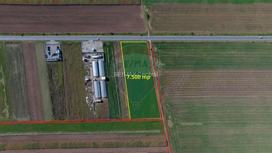 Teren comercial / industrial | 7,500mp Strada Zizinului | Tarlungeni - 9